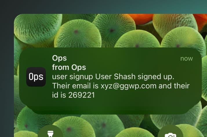 Operational thumbnail 5