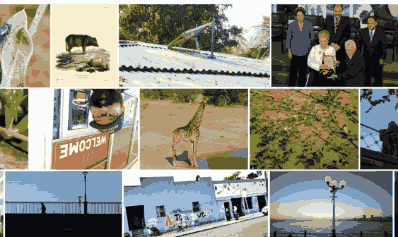 Photofield thumbnail 2