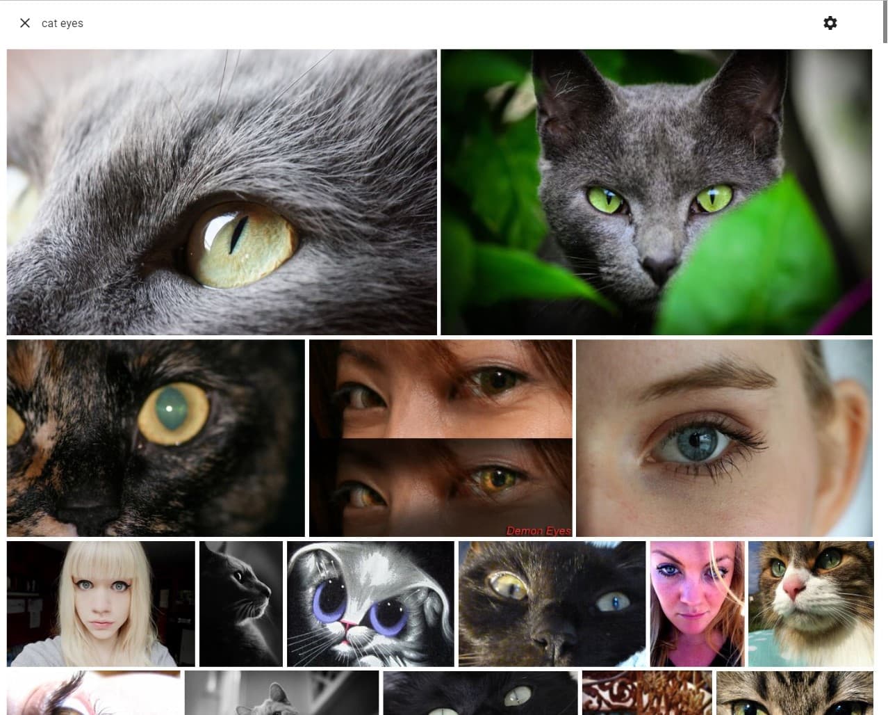 Photofield thumbnail 5