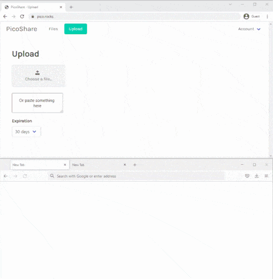 PicoShare screenshot