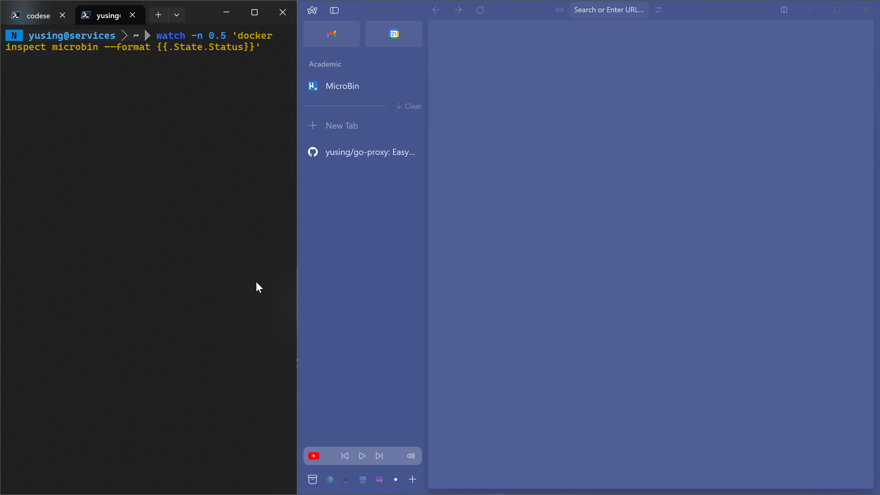 GoDoxy screenshot