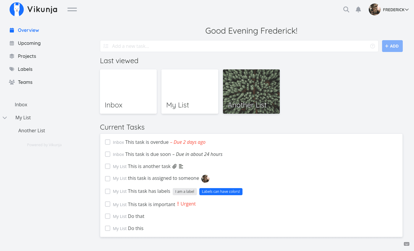 Vikunja screenshot 1