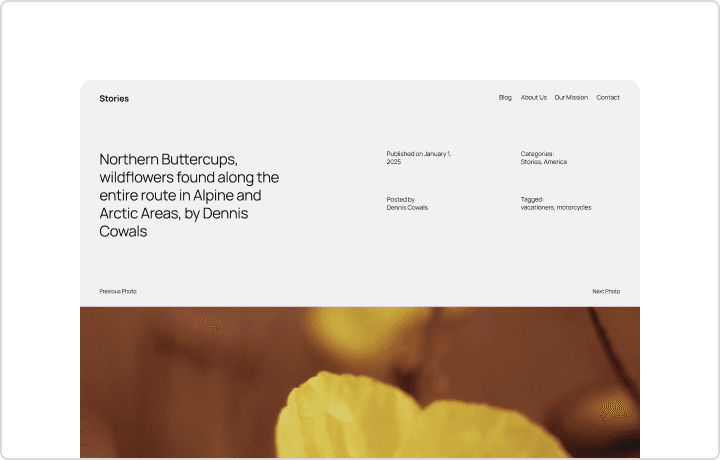 WordPress screenshot