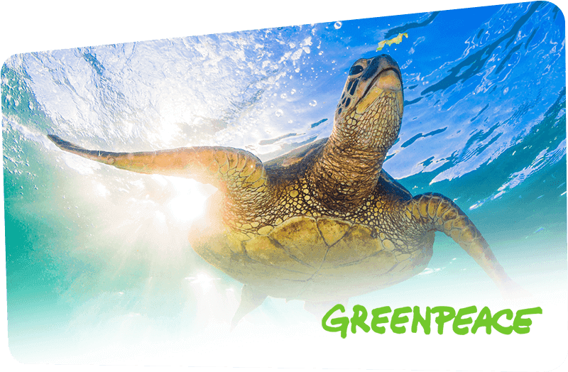 OpenProject thumbnail 4